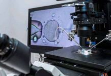 L’innovazione nella stimolazione ormonale | Life and News Magazine