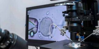 L’innovazione nella stimolazione ormonale | Life and News Magazine