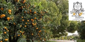 Giardino Torre del Real Bosco di Capodimonte (NA) - Agrumi in festa | Life and News Magazine