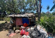 Life & News Magazine: l'inquinamento ambientale a Bali