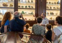 Visita al Real Museo Mineralogico con "Giro Giro Napoli" | Life and News Magazine