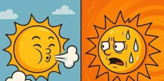 Caldo “record”: verità o allarmismo mediatico? | Life and News Magazine