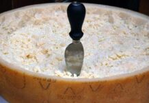 Forma di Grana Padano, un’eccellenza italiana che non smette mai di stupire | Life and News Magazine