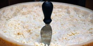 Forma di Grana Padano, un’eccellenza italiana che non smette mai di stupire | Life and News Magazine