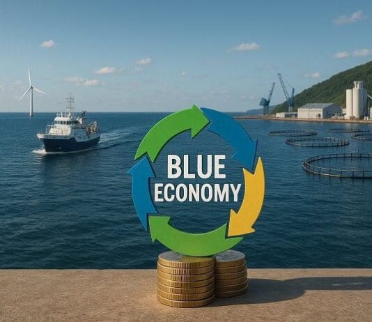 Blue Economy: sintesi tra economia circolare, governance marittima e tecnologie d’avanguardia.