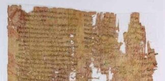 In un antico papiro la storia di una evasione fiscale | Life and News Magazine