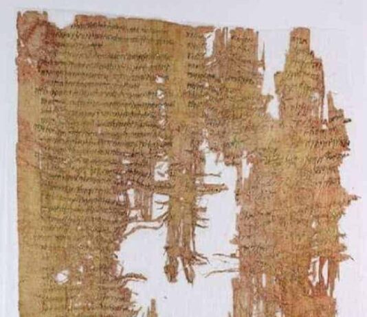 In un antico papiro la storia di una evasione fiscale | Life and News Magazine