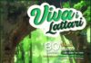 Locandina di “Viva i Lattari”. Il Parco Regionale dei Monti Lattari ospita tre eventi culturali tra cammini, teatro, danza e land art