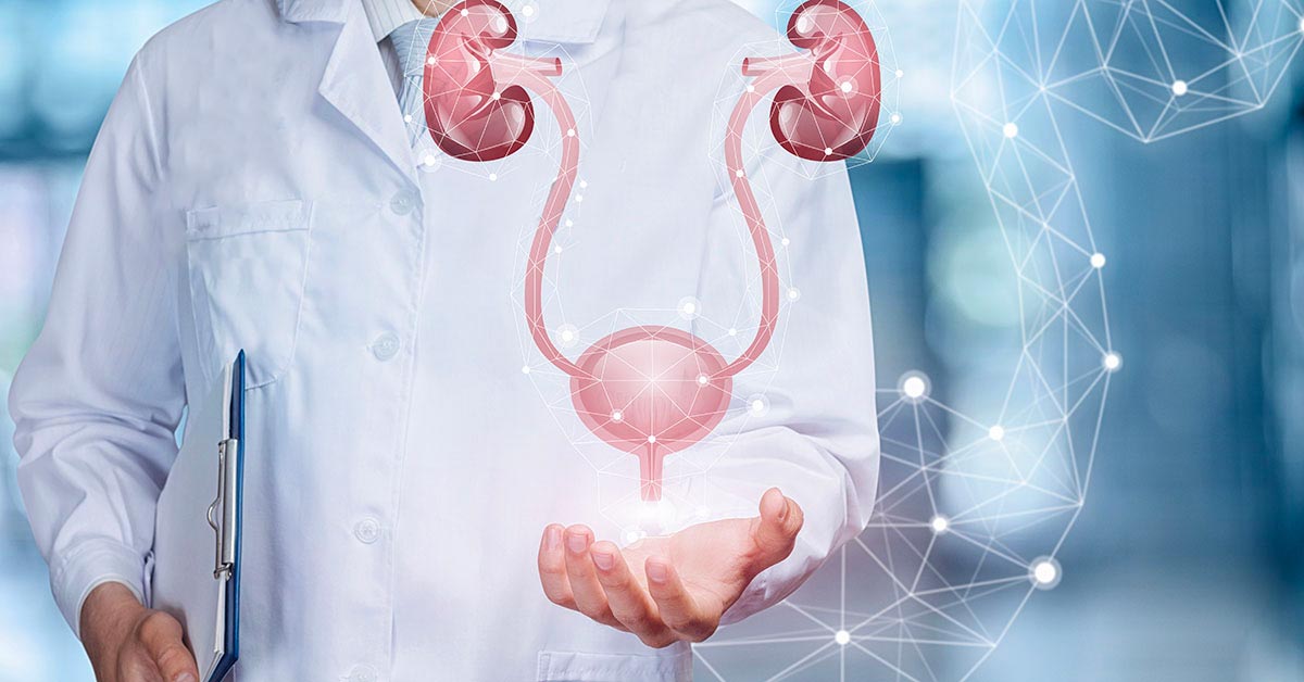 La prevenzione urologica e i rimedi naturali per vivere meglio: la minzione notturna è il primo campanello d’allarme La prevenzione urologica e i rimedi naturali per vivere meglio: la minzione notturna è il primo campanello d’allarme